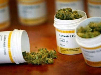 Diputado Castelli llama a creer en el potencial de la industria del cannabis medicinal