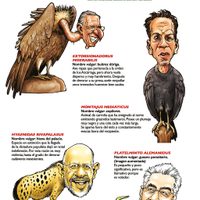Manual de Zoología Carroñera