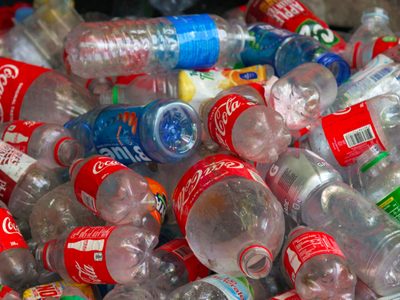 Sin gastar: transformá las botellas de plástico que ibas a tirar en este proyecto ideal para mantener ordenada tu cocina