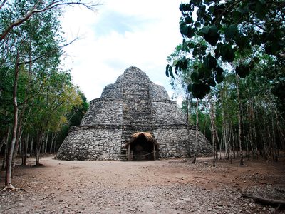 Arqueólogos descifran a los 14 gobernantes de la metrópoli maya Cobá