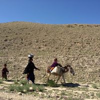 Gobiernos reciben garantías de los talibán para la salida de afganos tras el 31 de agosto