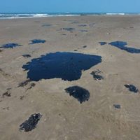 Derrame en el Golfo de México ocurrió hace más de un mes: ONG´s