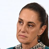 La frontera podría abrir gradualmente ante disminución de casos de gusano barrenador: Sheinbaum