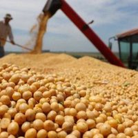 Nueva baja de retenciones al campo: cómo quedan los derechos de exportación para soja, maíz y trigo