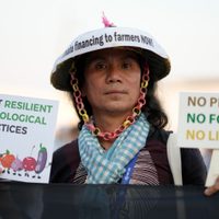 La COP28 dedica un día a la ganadería, pero expertos ven difícil reducir emisiones