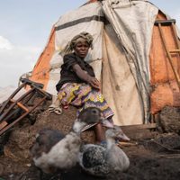 Crisis humanitaria en Congo contribuyó a convertir la viruela del mono en una emergencia global