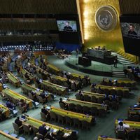 ONU aclara su procedimiento en virtud del artículo 34 contra las Desapariciones Forzadas