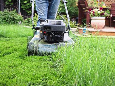 Lo dicen los jardineros: cada cuánto hay que cortar el césped para que crezca sano y parejo