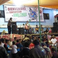 Organizaciones indígenas denuncian incumplimiento del Estado mexicano hacia los pueblos originarios