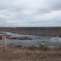 La Justicia intimó al municipio de Neuquén por las piletas de oxidación en Colonia Nueva Esperanza