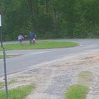 Niña forcejea con presunto secuestrador y logra frenarlo en EU (Video)