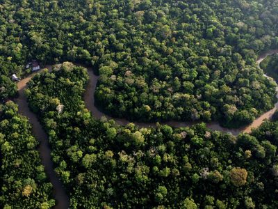La Amazonía vuelve a estar en una situación de sequía grave, y antes de lo esperado