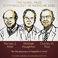 Conceden el Nobel de Medicina a tres científicos que contribuyeron a identificar la hepatitis C