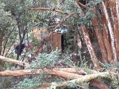 Mapuches volvieron a ocupar terrenos de una reserva municipal en el barrio Epulafquen