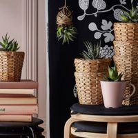 Antes de tirar ese porta macetas de mimbre que no usás, mirá este ingenioso DIY que no te llevará tiempo y queda joya en el balcón