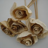 Las flores más lindas de esta primavera las podés hacer con papel y este truco increíble para decorar tu living