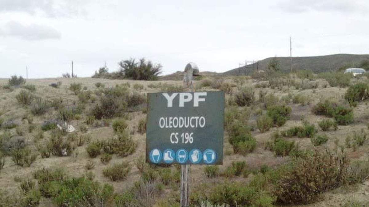 Santa Cruz. Fuente: (X)