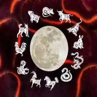 Luna Llena y fortuna: los signos del horóscopo chino que verán crecer su economía en mayo