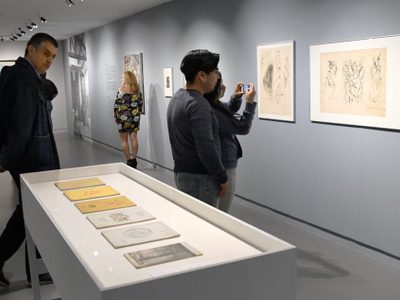 El gran malentendido en el Museo Carrillo Gil