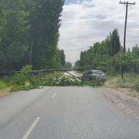 El viento provocó la caída de árboles y postes en General Roca