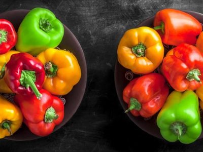 No compres más: no tires las botellas plásticas y cultivá tus propios pimientos de forma sencilla