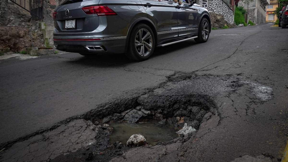 Bache en la CDMX