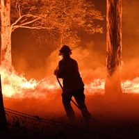 El humo de los incendios en Australia llegó a la Argentina