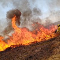 Brigadistas del Parque Nacional Lanín ayudan a combatir un incendio forestal en Jujuy