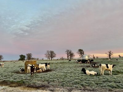 La Pampa, atenta a las heladas: una ola polar tomará el centro y norte del país