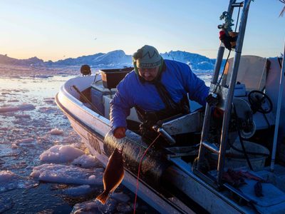 "Hace demasiado calor": Pescadores en Groenlandia, bajo la amenaza del cambio climático