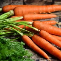 Zanahorias al horno: probá esta receta para comerlas bien crocantes y de una forma distinta