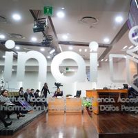Relatoras de la ONU instan al gobierno a “reconsiderar” la desaparición del INAI