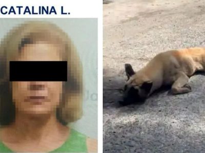 Vinculan a proceso a Catalina “L”, mujer que amarró y arrastró a un perro con su camioneta