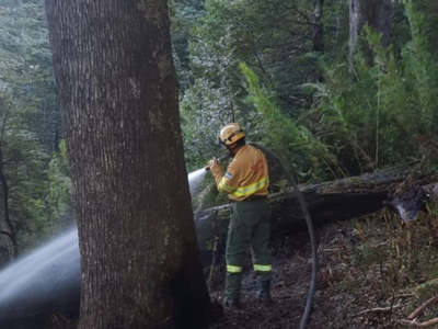 Demoraron a dos narcotraficantes que iniciaron dos incendios en el Parque Nacional Lanín