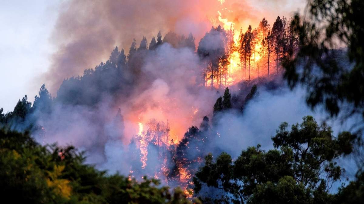 El incendio forestal no da tregua en Bariloche. Fuente: (Twitter)