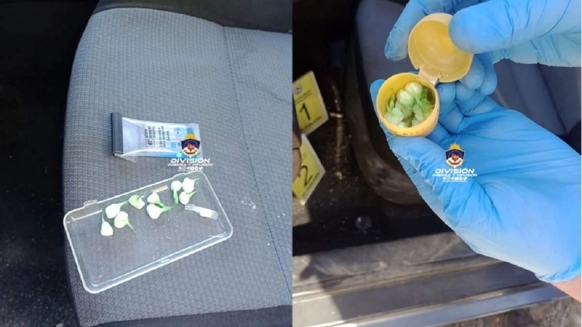 En el auto encontraron drogas, municiones y un celular robado. Fuente: (Neuquén al Instante)