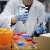 La cura del coronavirus cada vez más cerca: descubren un tratamiento capaz de detener la infección