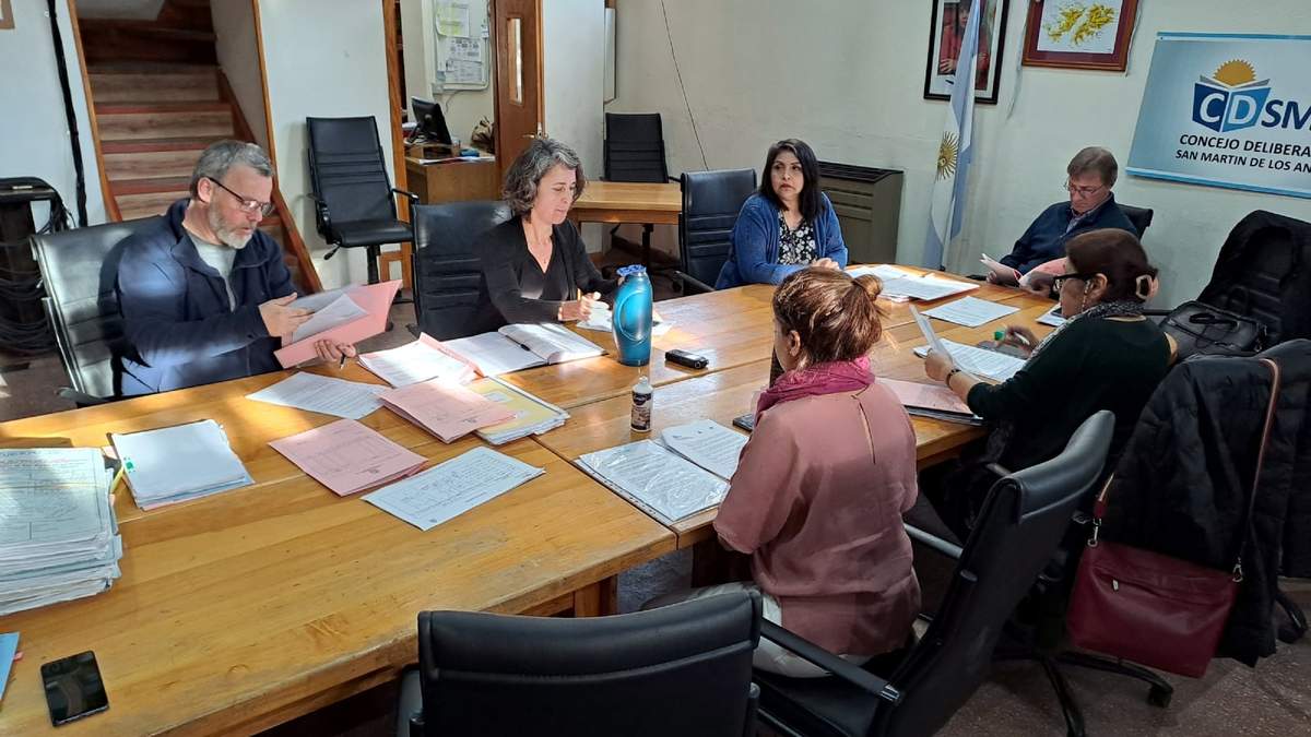 La medida se aprobó en el Consejo Deliberante de San Martín de los Andes. Fuente: (Twitter)