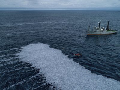 Las estremecedoras imágenes de una “alfombra” de 100 mil peces muertos en las costas de Francia