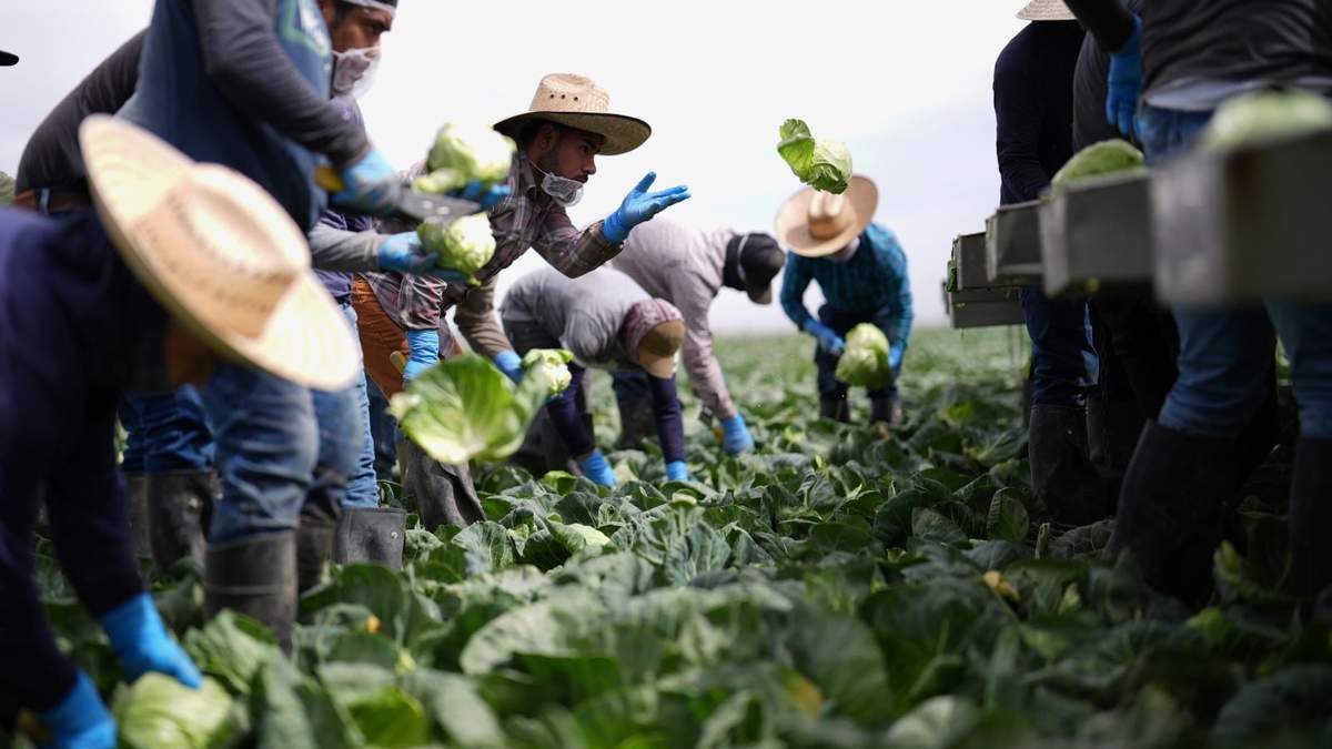 Productores agrícolas, relegados por las autoridades ambientales