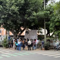 Conceden suspensión provisional para evitar la tala del árbol centenario Laureano