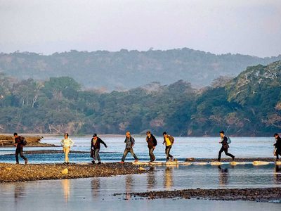 La Lacandona, nuevo territorio narco