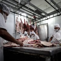 Cepo a la exportación de la carne: el Gobierno respondió a las propuestas del campo