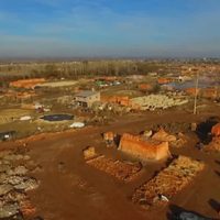 Identificaron los restos humanos hallados por perros en Allen