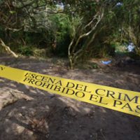 Hallan 46 cráneos y cientos de restos humanos en nueva narcofosa en Alvarado, Veracruz