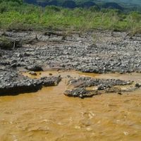 A 11 años del derrame tóxico en el Río Sonora, Comités denuncian abandono del Gobierno Federal