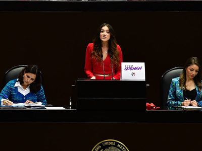 PRI propone retomar la "Ley Quemón" para exhibir a violadores y padres que no pagan pensión