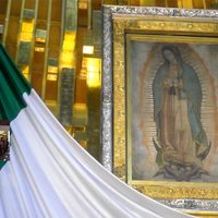 La imagen guadalupana, a través de internet, durante 12 horas