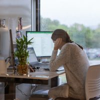 5 plantas que te ayudarán a trabajar desde casa