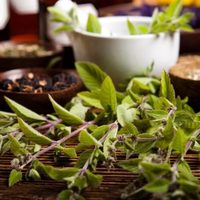 Conocé las plantas que son valiosas para proteger a tu estómago de las dolencias